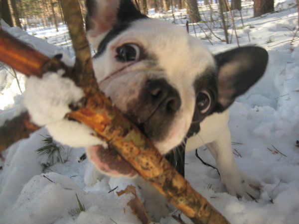 Алексей Шилов