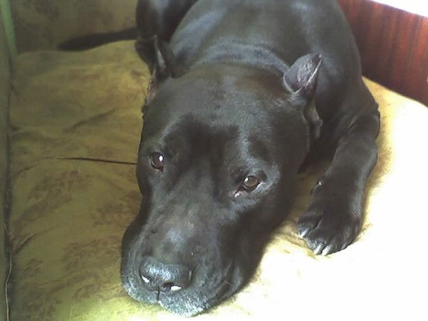 Ирина Белозорова