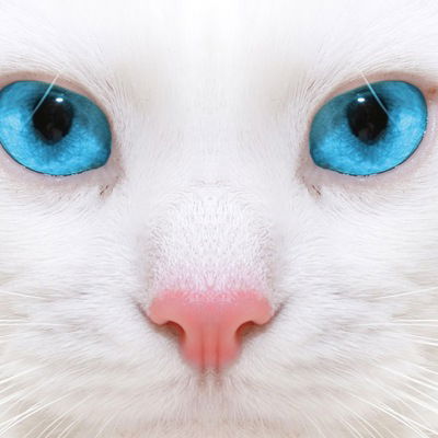 Данил Навозов