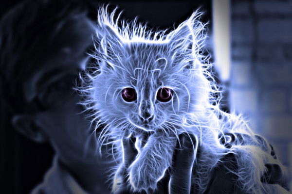 Санёк Форостян