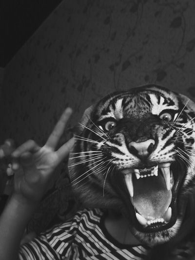 Вика Дремина