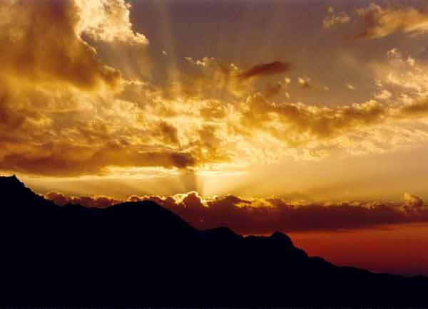 Елена Морозова