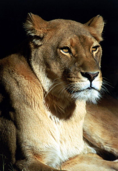 Айдар Ахметов