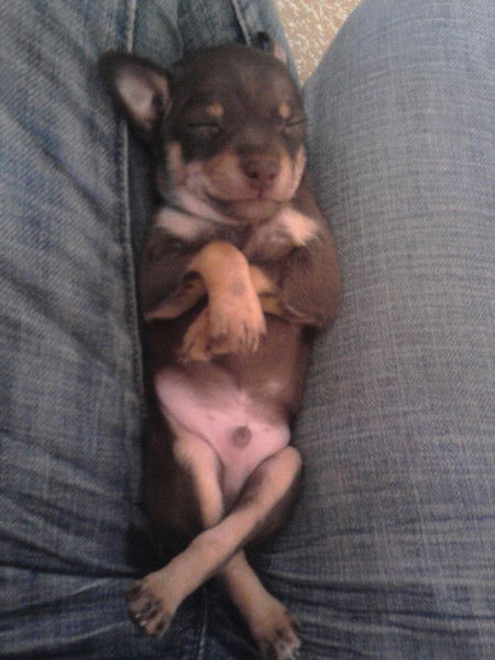 Т...................... М....................