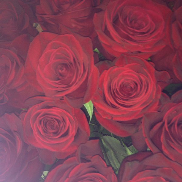 Анна Чайкина