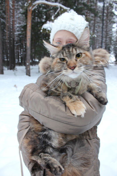 Елена Елена