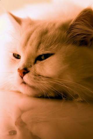 Сергей Постольников