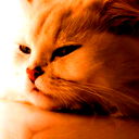 Сергей Постольников