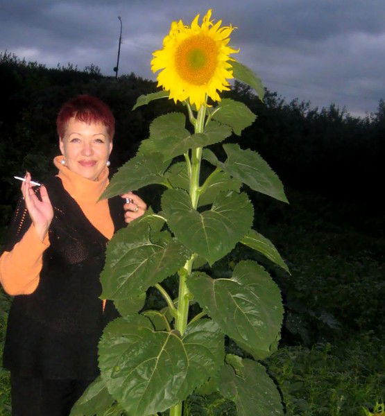 Галина Дмитриева