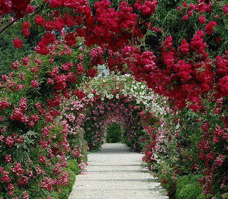 Ольга Новикова