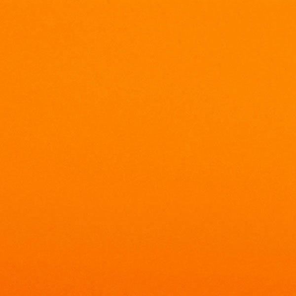 Дарья Комлева