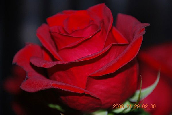 Кульжаева Бибигуль