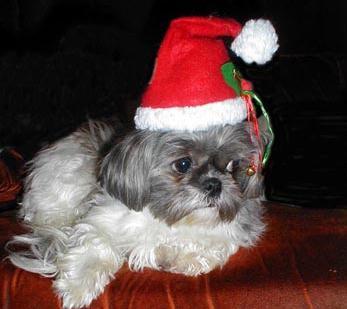 Вадик Азончик