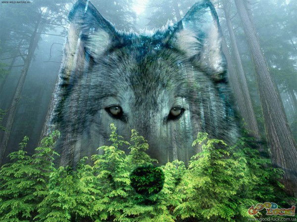 Сергей Аникин