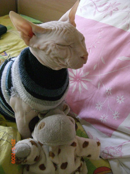 Марина Смирнова