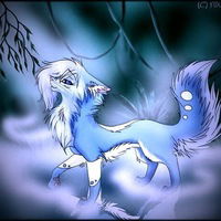 Ледяная Звезда