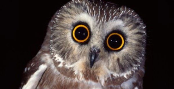 Татьяна Савина