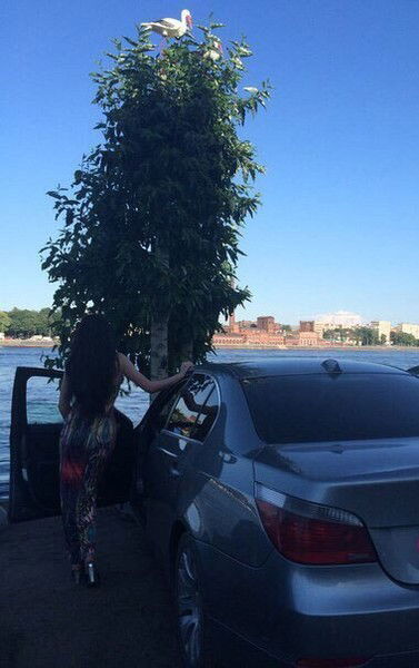 Айнагуль Нурашева