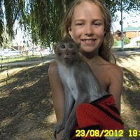 Алёна Волохова