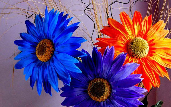 Айжан Карипбаева