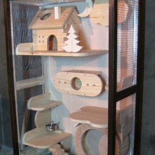 Витрина Харьков