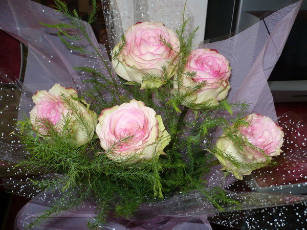 Надежда !!!!!!!!!!!!!!!!