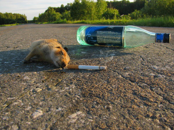 Владимир Липатников