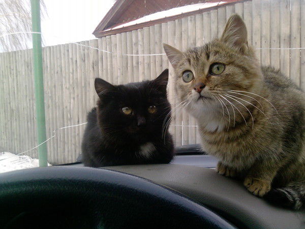 Лидия Валиева