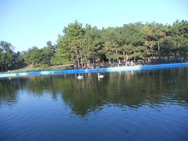 Лариса Лариса