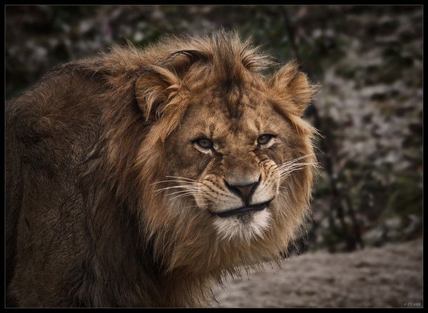 Александр Тарский