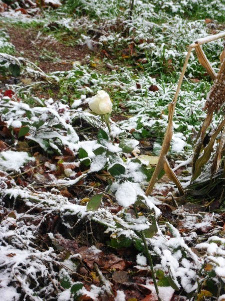 Хурсанд Абдуллаев