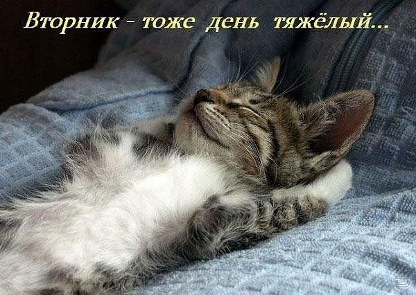 Алексей Скопец