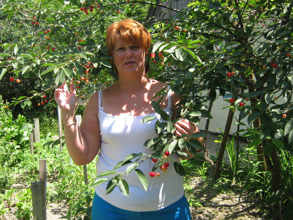 Света Цветкова