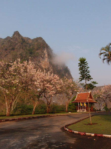 Сергей Бобб