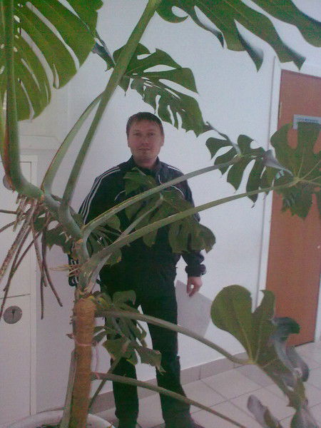 Александр Гадильшин