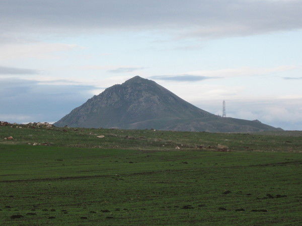 Игорь Соснов