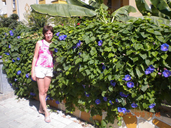 Эльмира Кочеткова