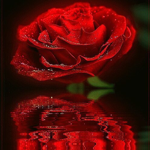 Роза Узакбаева