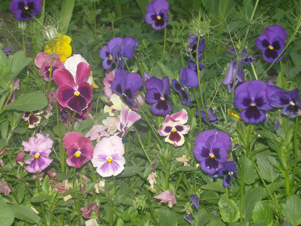 Наталья Устинова