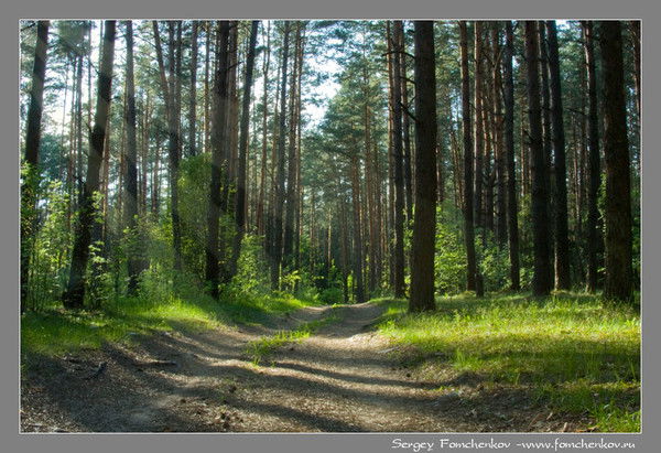 Евгения Карцева