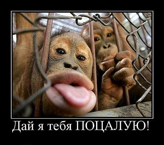 Лика Мирала