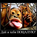 Лика Мирала