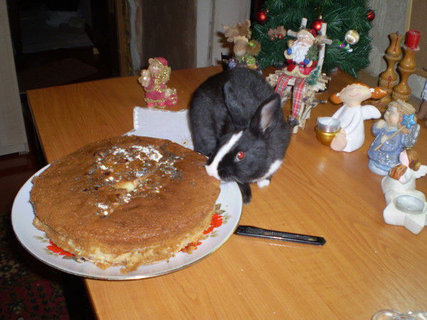 Маргарита Квитка