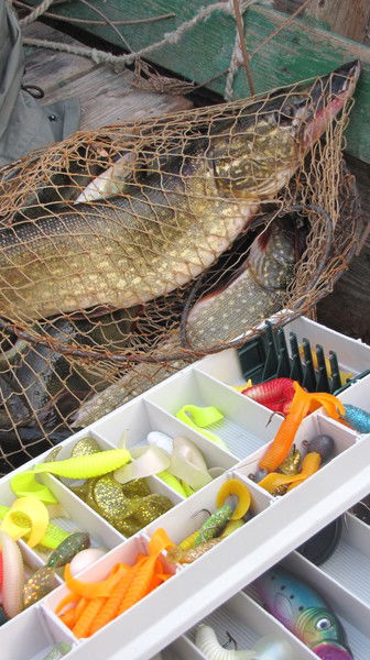 Владимир Анненков