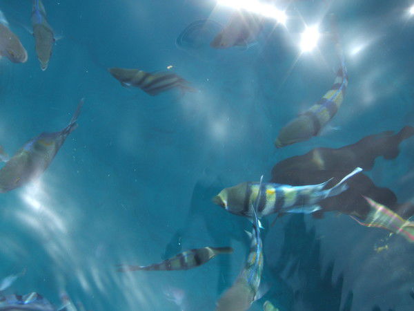 Татьяна Балунова