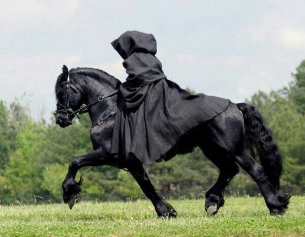 Динара Жена Ислама