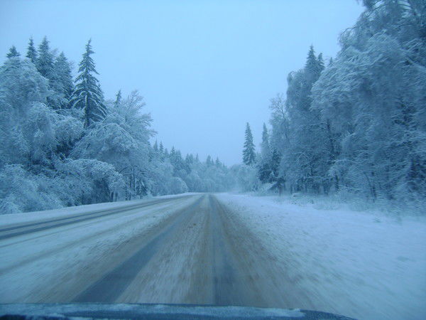 Светлана Прошина