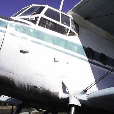 Светлана Мышкина