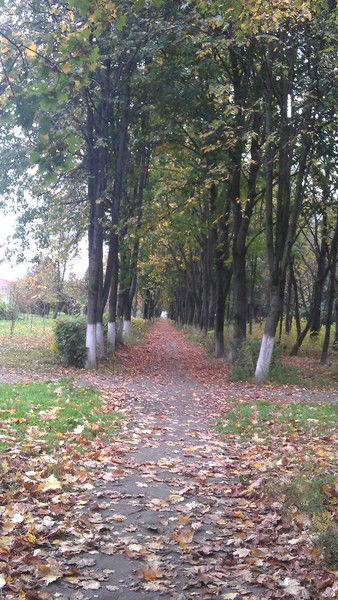 Ольга Горбунова