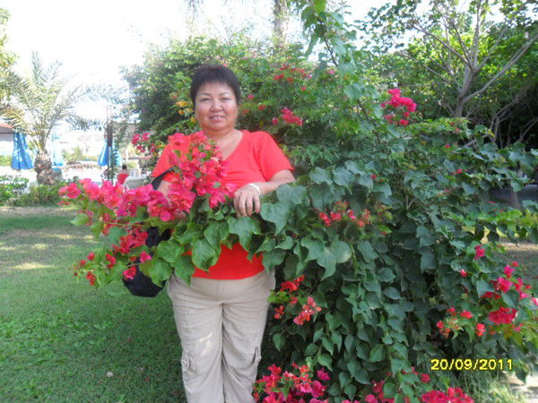 Майса Кутанова